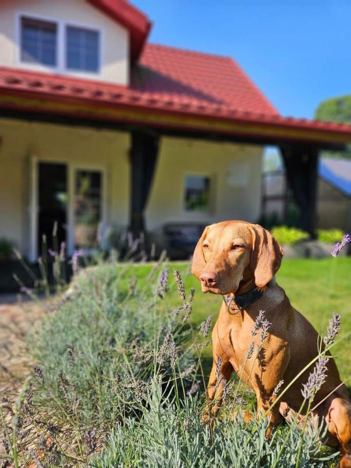 Hébergement de vacances Meta House